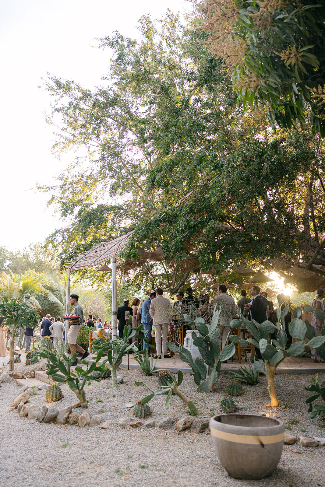 Bodas de destino 24